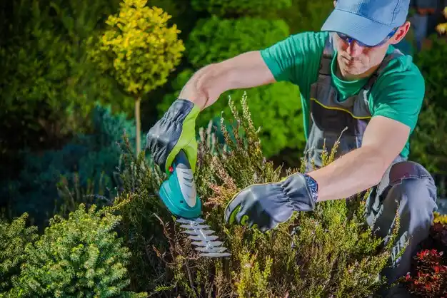 landscaping services Logan Elm Village